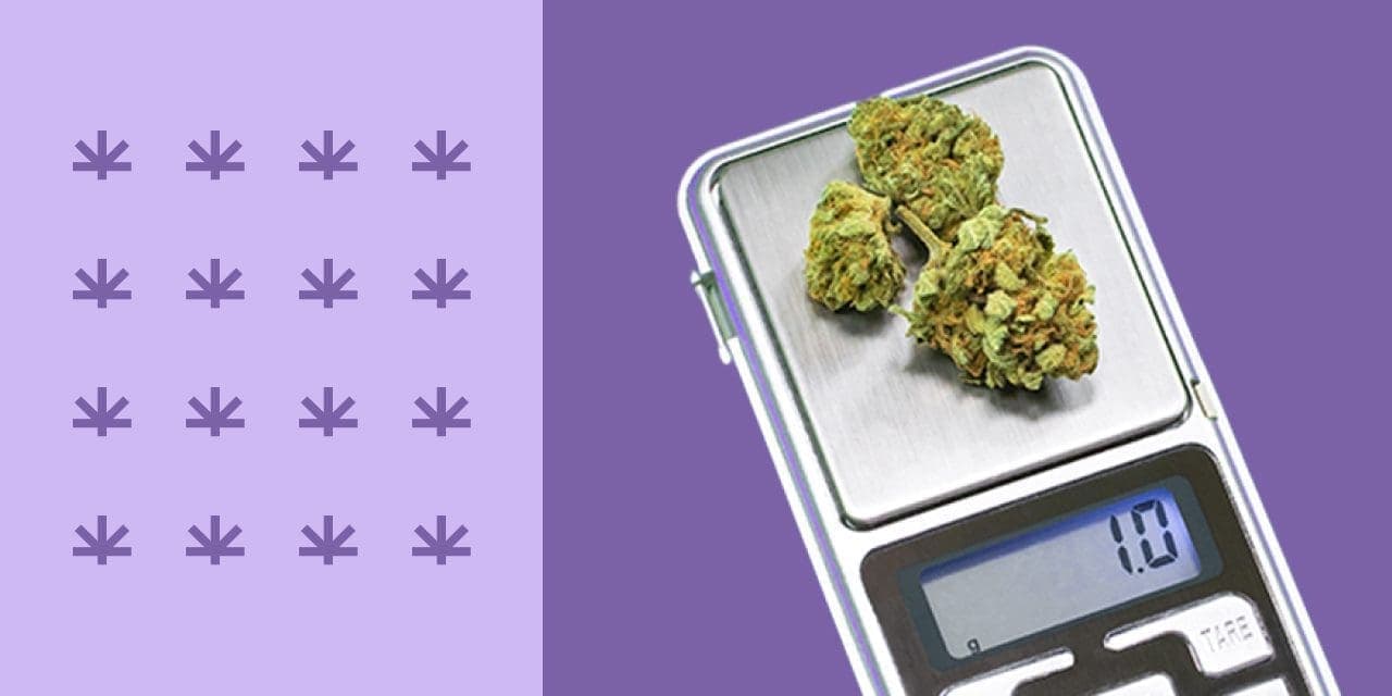 buds of weed on a jewelry scales
